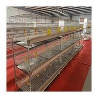 Nouvelle cage à poules de bonne qualité avec système automatique d'eau et d'alimentation, fil d'acier à faible teneur en carbone, capacité de 12 à 20 poulets