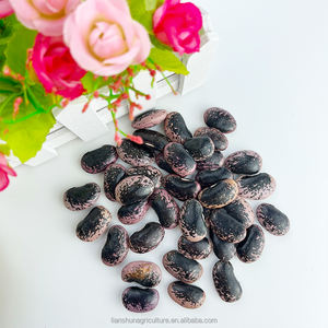 Frijoles de mantequilla chinos secos no Gmo púrpura frijoles de riñón moteados negros grandes - Product Image 5