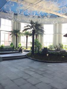 Personnalisation d'algues artificielles de haute qualité cocotiers <span class=keywords><strong>palmiers</strong></span> pour hôtel <span class=keywords><strong>villa</strong></span> 5 étoiles projet d'ingénierie de la pièce d'eau - Product Image 4