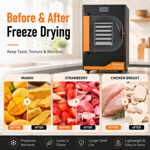 Liofilizador Automático de Grado Profesional 110V con Bomba de Engranajes para Uso Comercial, Procesamiento de Alimentos, Elaboración de Dulces y Alimentos para Mascotas, Calentamiento por Vapor - Product Image 5