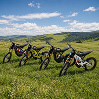 Nouveau modèle 2026 Sur Ron Light Bee X Lbx Ebike 72V 10000W Moto tout-terrain électrique 60V Ultra X Ebike, en stock aux États-Unis et au Royaume-Uni