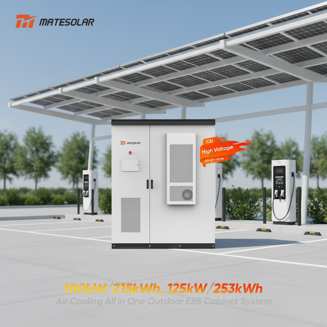 All-in-One Industrial Commercial Hybrid Solar Energy Storage System Cabinet 100Kw 215Kwh 125Kw 253Kwh with Lifepo4 Battery