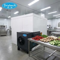 Déshydrateur alimentaire à économie d'énergie 36 plateaux pour ananas 220V 2.1KW certifié COC