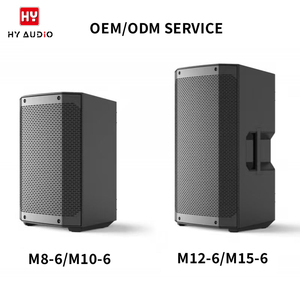 HY AUDIO Boîtier de haut-parleur en plastique vide, fourni par l'usine, 8, <span class=keywords><strong>10</strong></span>, 12, 15 pouces, enceintes vides personnalisées à vendre, couleur noire - Product Image 1