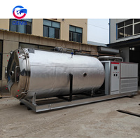 Vriesdroogmachines voor aardbeien, lyofilisatie, fruitvriesdroging, lyofilisatiemachine, fruitmachine, lyofilisator