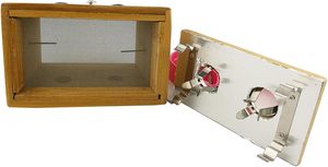 Boîte à moxibustion en bambou à deux trous pour la thérapie de moxibustion, médecine traditionnelle chinoise (MTC), soins de bien-être à domicile - Product Image 6