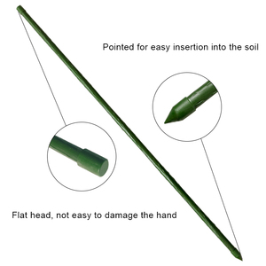 Bền màu xanh lá cây PE nhựa tráng thép cà chua lồng vườn hỗ trợ cổ phần với kích thước tùy chỉnh cho ngoài trời tăng trưởng thực vật - Product Image 5