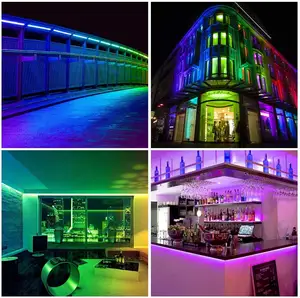 12v Led Digital Strip High Quality Ce Rohs Digital Addressable Strip Programmable Rgb Lighting Ws2811 12v Pixel Led Rope Lamp