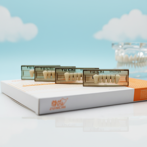 Dientes de Resina Acrílica Compuesta <span class=keywords><strong>Dental</strong></span> de Fábrica, Dientes Anteriores Inferiores 6*1/16, Dientes de Resina de Polímero Sintético para Prótesis Removibles - Product Image 1