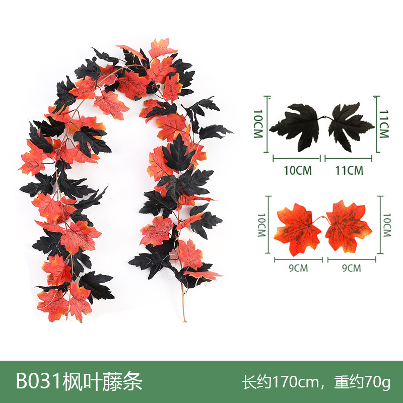 B031 Vigne d'érable