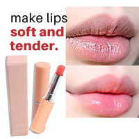 Baume à lèvres minéral teinté, changeant de couleur, nourrissant, rose, bio, végétalien, réparateur, waterproof, écran solaire, brillance pour les lèvres, rouge à lèvres OEM 5g