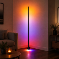 Lampes sur pied intelligentes à éclairage ambiant changeant de couleur, 16 millions de couleurs DIY, mode musique, lampe de sol d'angle LED