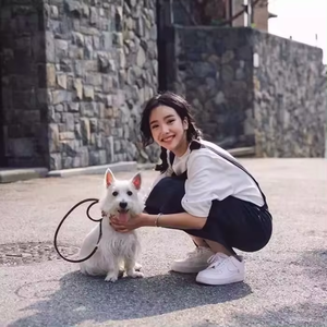 Sistema de Cerca Eléctrica Inalámbrica <span class=keywords><strong>Invisible</strong></span> para Perros, Ajustable, con Control Remoto, <span class=keywords><strong>Collar</strong></span> de Entrenamiento con Sonido y Descarga Eléctrica - Product Image 2