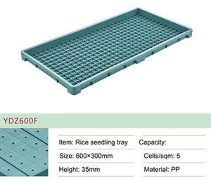 Heavy Duty Small PS Plastic <strong>Wheatgrass</strong> Plant <strong>Seed</strong> Sprouting Trays with Pc Sheet Cover for Hydroponics Nursery Fodder - Product Image 6