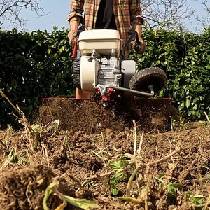 EUROSYSTEMS Motor-<b>Hoe</b> Euro 5 EVO Adjustable Handlebar B&S Engine Cr950 Series Rotavator 75 Cm With Disks for Agriculture - Product Image 4