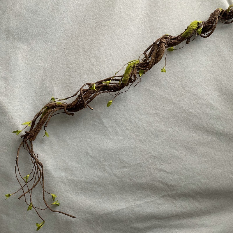 Light-colored moss