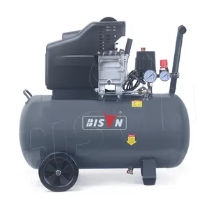 BISON çin 10l 24l 50ltr farklı türleri özel küçük piston doğrudan tahrik hava kompresörü