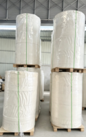 Rollos de Papel para Impresión de Cartón de Fabricantes de Papel para Uso en Café y Bebidas, Rollos de Papel de Materia Prima con Recubrimiento de PE/PLA