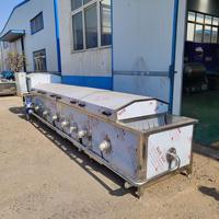 Machine voor het maken van fruitpulp-sapconcentraat, productielijn voor de verwerking van mango- en ananasdranken