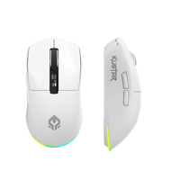 Mouse para Juegos RGB OEM ODM, Tri-modo, Ultraligero, 205IC, Inalámbrico, Recargable, con Logotipo Personalizado