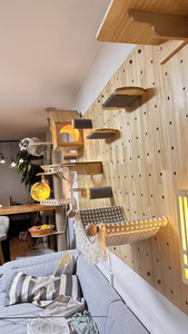 Bảo Vệ Tường DIY Nối Thiết Kế Rắn Gỗ Mèo Leo Núi Khung Cột Không Gian Viên Nang Mèo Tường Kệ Gắn Đồ Nội Thất - Product Image 6