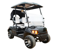 Nuevo Modelo 2025: Carro de Golf Eléctrico de 2 Plazas con 4 Ruedas y Soporte para Bolsa de Pelotas, Buggy Eléctrico para Caza en Venta