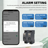 Disjoncteurs miniatures TUYA/SmartLife 63A 1P+N, interrupteur intelligent WiFi avec compteur d'énergie, surveillance de la consommation kWh, relais temporisé