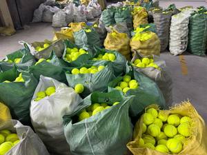 [ท็อปเรท] ลูกบอลสำหรับสุนัขแบบพรีเมียม ทนทานต่อการกัดแทะ ช่วยดูแลสุขภาพฟัน ทำจากยางไฟเบอร์ ของเล่นสัตว์เลี้ยงขนาด 5 ซม. <span class=keywords><strong>กระตุ้น</strong></span>พัฒนาการทางจิต - Product Image 4