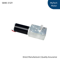 Moteur à engrenages à vis sans fin micro DC 5840-31ZY 12V 24V, couple élevé, faible vitesse, moteur électrique autobloquant, boîte de vitesses à angle droit réglable