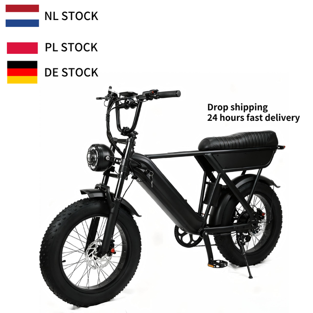 Y20 250W 48V 20 Inch Fat Tire Electric Hybrid Bicycle Fashion Off Road Ebike Lithium Battery Powered Bike Fatbike