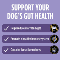 Sachets de poudre probiotique canin OEM, lot de 30, cultures actives vivantes, favorise la santé intestinale du chien, soulage la diarrhée, les gaz et équilibre l'immunité