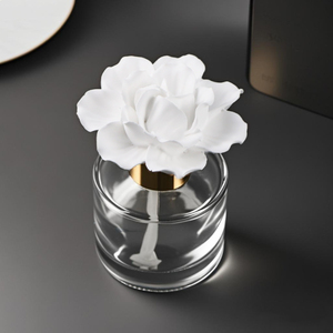 100ml chai thủy tinh thơm gốm thơm thạch cao làm mát không khí sứ hoa nhà hương thơm tinh dầu khuếch tán - Product Image 1