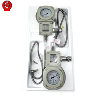 Explosion-proof Temperature Gauge with Pt100 Sensor 4-20mA Signal Instrument for Motor Bearing Petrochemical Hazardous Area