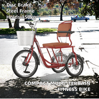 Petit tricycle de fitness, vélo tout-terrain, vélo de ville, mini quad, vélo de montagne, vélo de terre, cadre en acier, freins à disque, vitesse unique