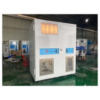 Kiosque commercial de vente de glaçons 180-450 kg par jour, paiement en espèces, cartes de crédit et jetons, avec ensachage automatique et distribution en vrac