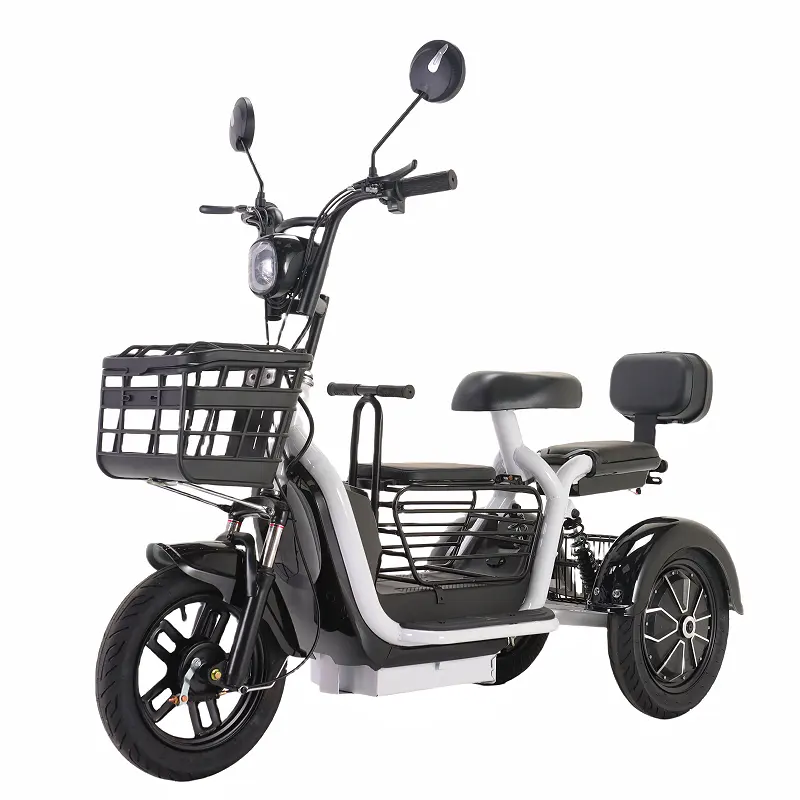 Tricycle électrique à batterie au plomb 800W 1000W 48V véhicule à trois roues pour adultes d'âge moyen et personnes âgées