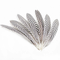 Plumes d'ailes de faisan argenté naturelles 20-25 cm (8-10 pouces) en vrac pour l'artisanat DIY, Halloween, Noël, Mardi Gras, décoration de carnaval