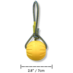 Jouets en corde pour chien en EVA multicolores, durables et écologiques, pour l'entraînement à la mastication, vente en gros d'usine, OEM/ODM disponible - Product Image 2