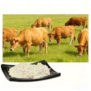 Poudre de peptides de collagène hydrolysé JINBOJIN pour éclaircir les cheveux, les ongles et la peau - Non destiné aux femmes enceintes - 75g (15x5g) - Product Image 1