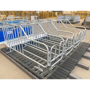 2024 new product pig gestation pen hot sell sow gestation cages for pig high burden farming equipment