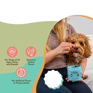 Friandises à mâcher <span class=keywords><strong>pour</strong></span> chiens OEM/ODM : peptides et <span class=keywords><strong>huile</strong></span> <span class=keywords><strong>de</strong></span> <span class=keywords><strong>foie</strong></span> <span class=keywords><strong>de</strong></span> <span class=keywords><strong>morue</strong></span> – 4 types <span class=keywords><strong>de</strong></span> friandises molles <span class=keywords><strong>pour</strong></span> la santé des articulations et des hanches, soutien cutané et capillaire riche en protéines - Product Image 5