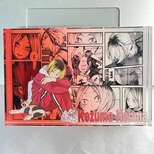 14 nouveaux designs de figurines <span class=keywords><strong>en</strong></span> acrylique de haute qualité sur le thème de l'anime Haikyu Volleyball Karasuno Hinata Shoyo Kageyama Tobi pour la décoration - Product Image 4