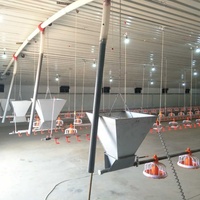 Nouvelle structure en acier préfabriquée galvanisée à chaud ASTM Q235 pour ferme avicole industrielle, capacité 10 000+ poulets