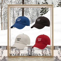 Op maat gemaakte velours baseballcap voor heren en dames, outdoor sport, 6-panel, met geborduurd logo, effen, fitted cap, etnisch bladmotief