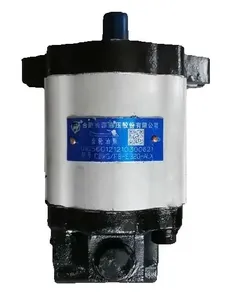 nouvelle pompe à huile hydraulique CBWG-FB-E316-ALX 320 - Product Image 4