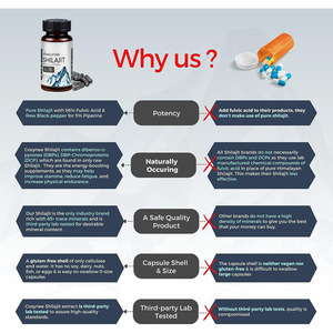 Shilajit OEM/ODM para soporte inmunológico Cápsulas de Shilajit del Himalaya Cápsulas de extracto de Shilajit Soporte cerebral Suplemento de ácido fúlvico - Product Image 3