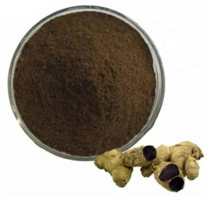 Polvo de Jengibre Negro Deshidratado de Alta Calidad |   Empaque Personalizado OEM Disponible, 100 kg a Granel |   100% Puro y Natural de Grado Alimenticio - Product Image 1