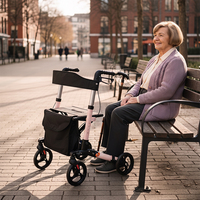 Déambulateur pliable léger pour personnes âgées avec grand sac de rangement, aide à la mobilité en aluminium, marche en extérieur sécurisée, certifié CE