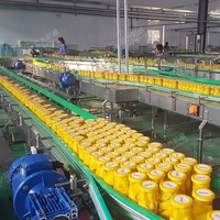 Automatische Fles Ingeblikte Gele Perzik Aardbei Sinaasappels Peren Apple Vulling Verpakking Proces Machine