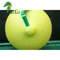 Ballon publicitaire gonflable personnalisé en forme de fruit Hongyi 2026, en bâche PVC, avec LED, motif citron